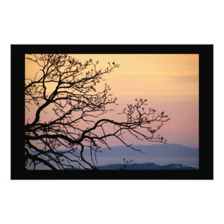 Sunset Branches Silhouette by Sidharta Pascual Photo Print