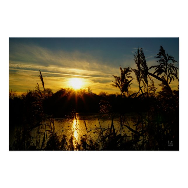 Sunset by a pond with cattails. poster (Front)