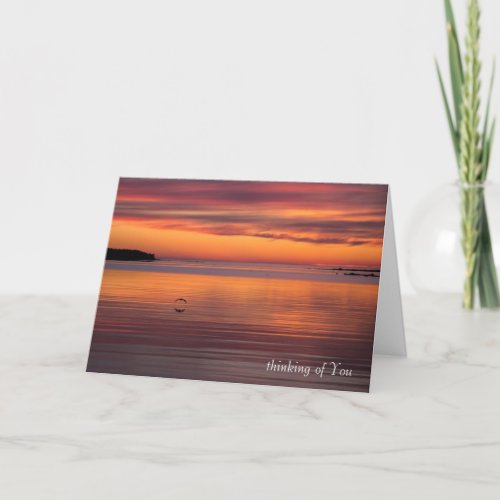 Sunset by the sea CC0156 Sympathy Card