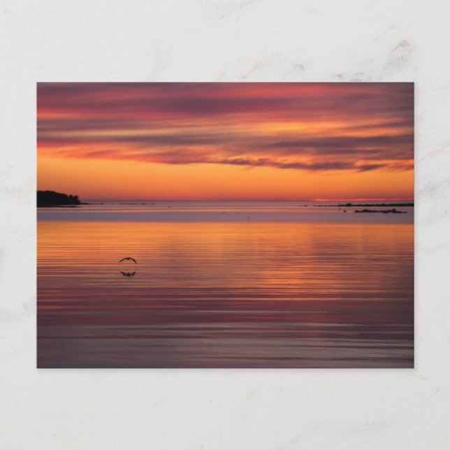 Sunset by the sea, Finland CC0157 Postcard (Front)
