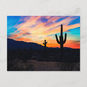 Sunset Cactus Desert Dusk Postcard
