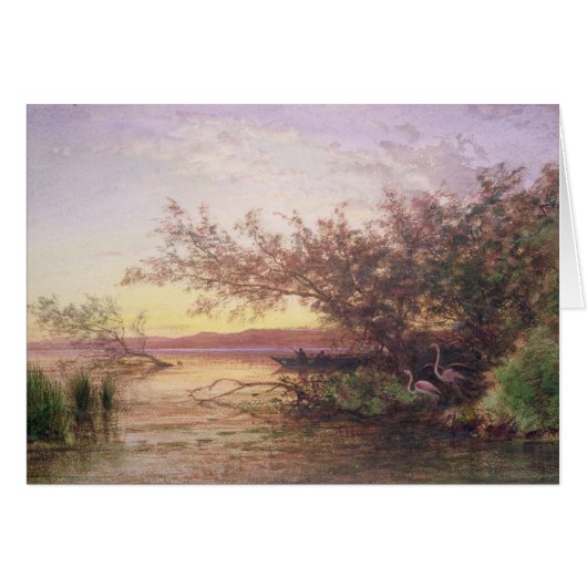 Sunset, Camargue Cards (Front Horizontal)