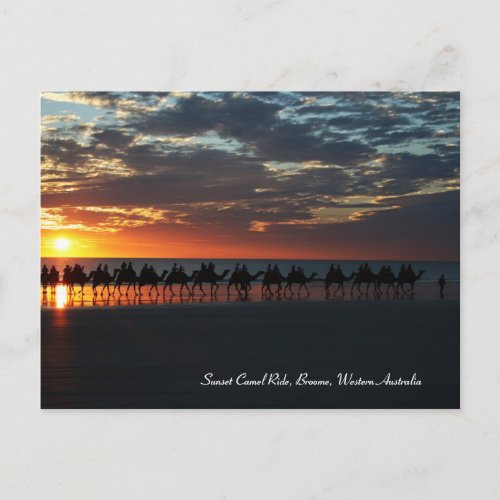 Sunset Camel Ride Broome Western Australia Postcard
