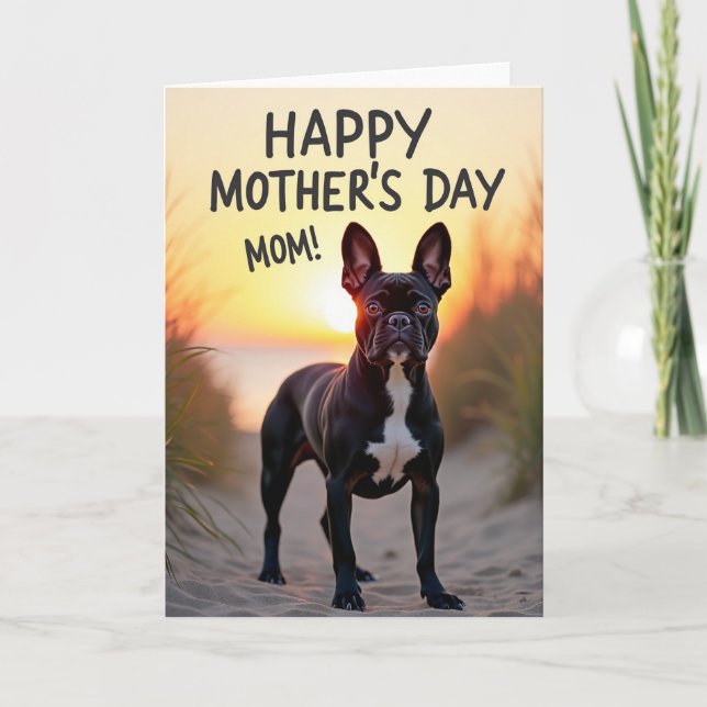 Sunset Canine Mothers Day Card (Front)