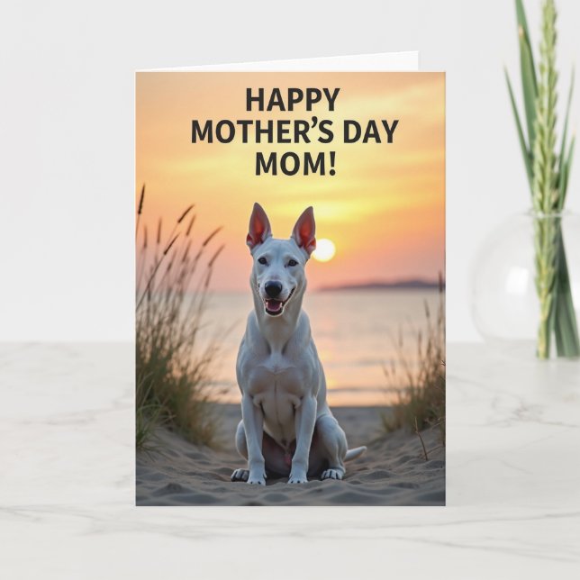 Sunset Canine Scene Card (Front)