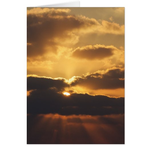 Sunset Cards (Front)