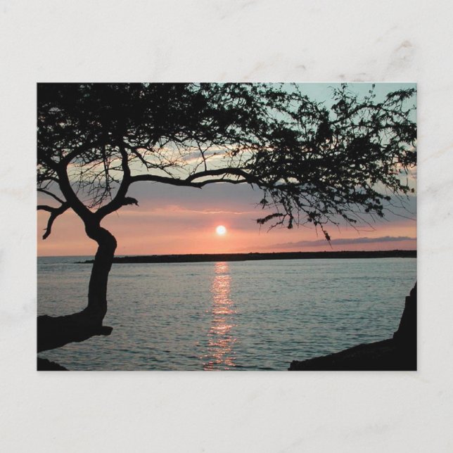 Sunset Carmel, Ca. Postcard (Front)