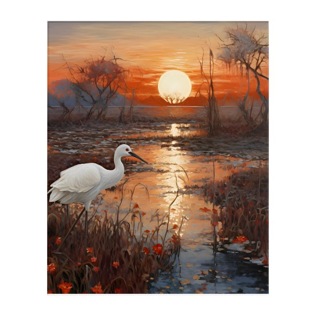 Sunset Celebration: A White Ibis Acrylic Print (Front)
