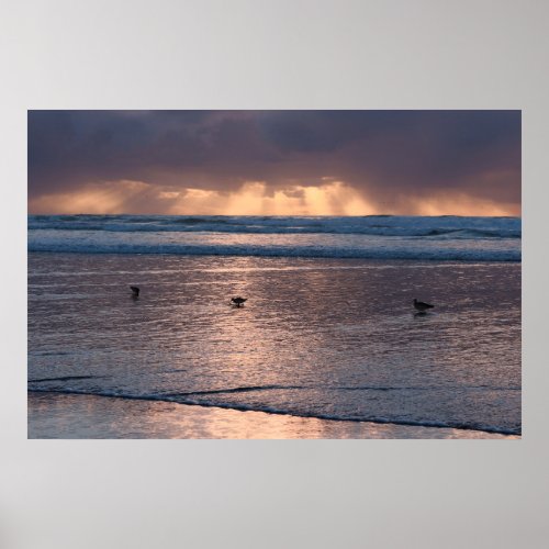 Sunset Coast Beach Birds Nature Photo Poster