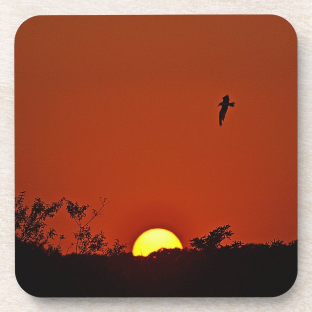 Sunset Coaster (Front)