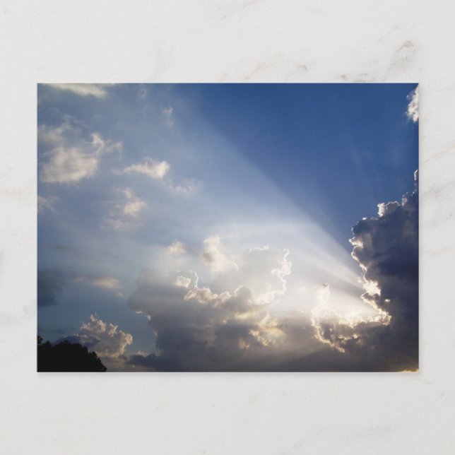 sunset, copyright by deidre e kelley 2008 postcard (Front)