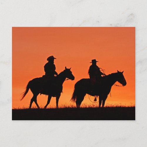 Sunset Cowboy Ride Design Postcard