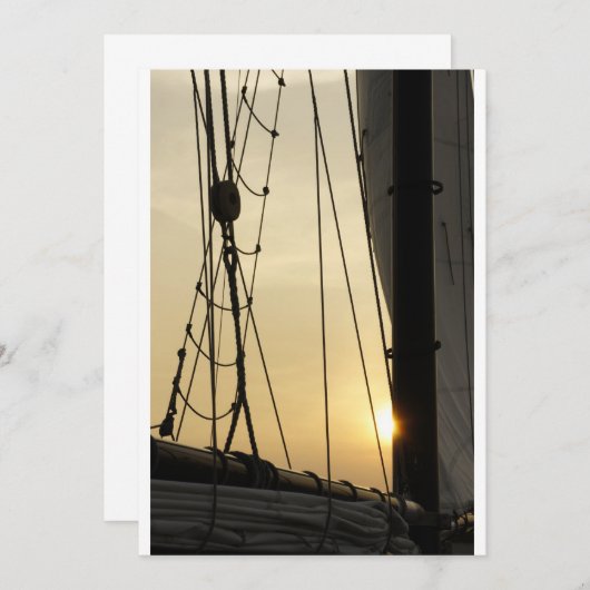 Sunset Cruise (Front/Back)