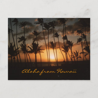 Sunset (Customizable) 🌴 Postcard