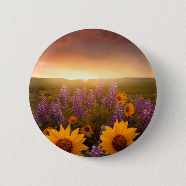 Sunset Daisies Button (Front)
