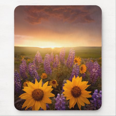 Sunset Daisies Mouse Pad