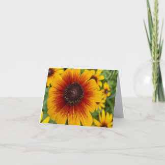 Sunset Daisy Fine Art Photography Folded Note Card