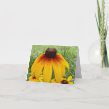 Sunset Daisy Fine Art Photography Folded Note Card
