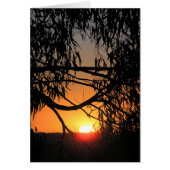Sunset Darkness Card (Front)