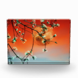 Sunset Dawn Photo Block