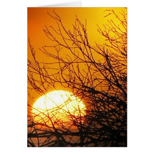 Sunset Delights Card (Front)