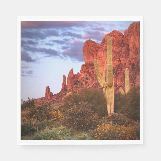 Sunset Desert Arizona State Napkins (Front)