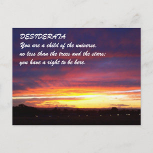 Sunset DESIDERATA Postcard