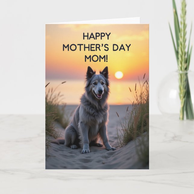 Sunset Dog Affection Card (Front)