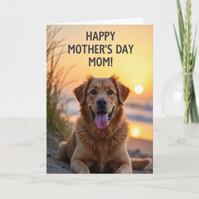 Sunset Dog Mothers Day Greeting Card (Front)