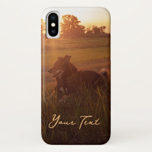 Sunset Dogs Art Photography iPhone X Case