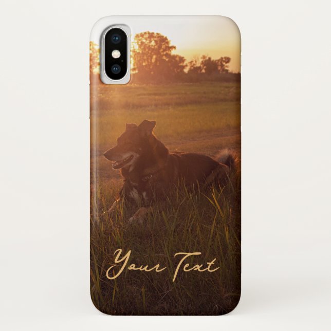 Sunset Dogs Art Photography Case-Mate iPhone Case (Back)
