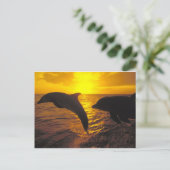 Sunset Dolphins Postcard (Standing Front)