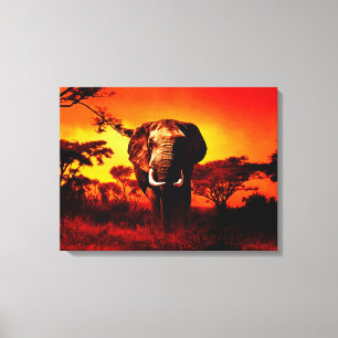 Sunset Elephant Canvas Print