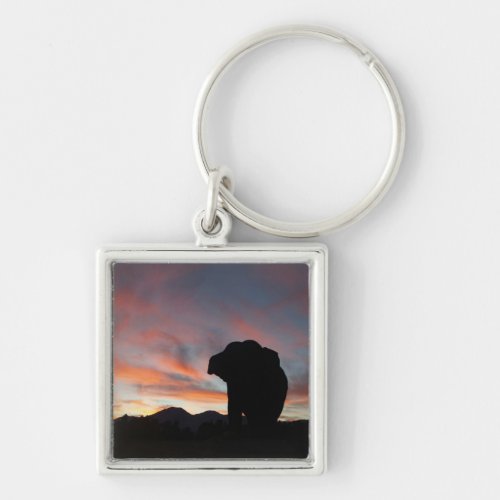 Sunset elephant keychain