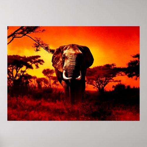 Sunset Elephant Poster