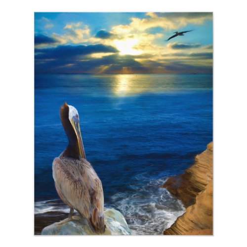 SUNSET EYES OF A PELICAN PHOTO PRINT