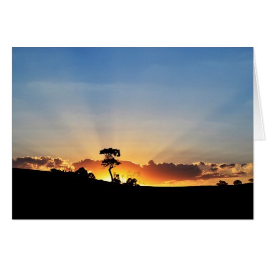 Sunset Farm Londrina Cards (Front Horizontal)