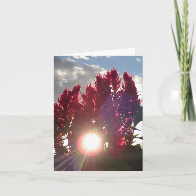 Sunset Flame Flowers - vertical (v2) Card (Front)