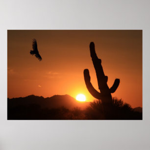 Sunset Flight Poster