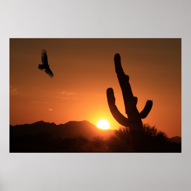 Sunset Flight Poster (Front)