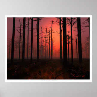 Sunset Fog Poster