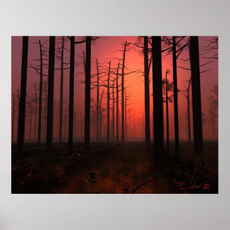 Sunset Fog Poster