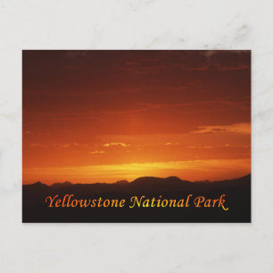 Sunset from Mt. Washburn Postcard