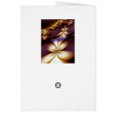 SUNSET GARDEN (Back)