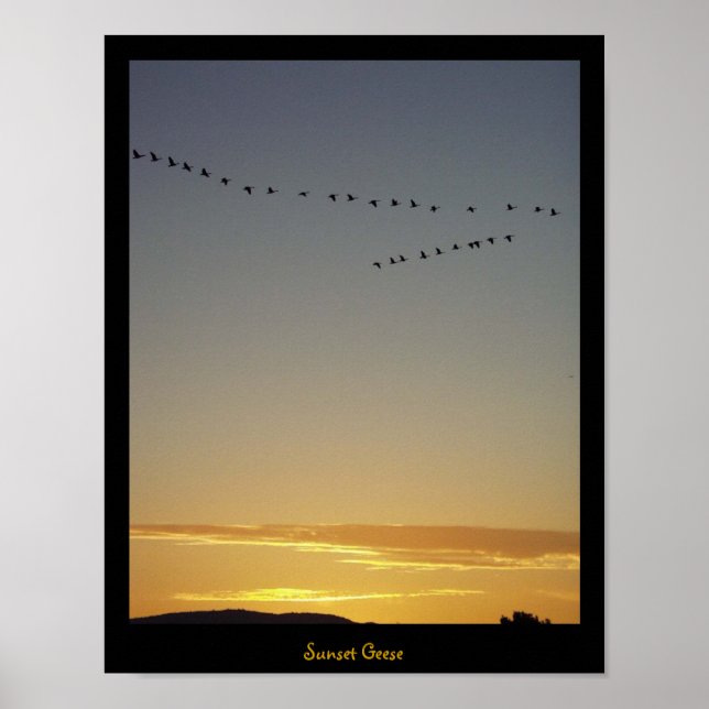 Sunset Geese  Poster (Front)