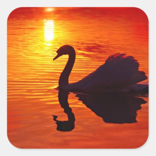Sunset Glow with Swan Square Sticker