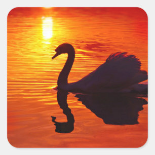 Sunset Glow with Swan Square Sticker
