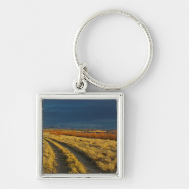 Sunset highlights the red bark of bushes keychain (Front)