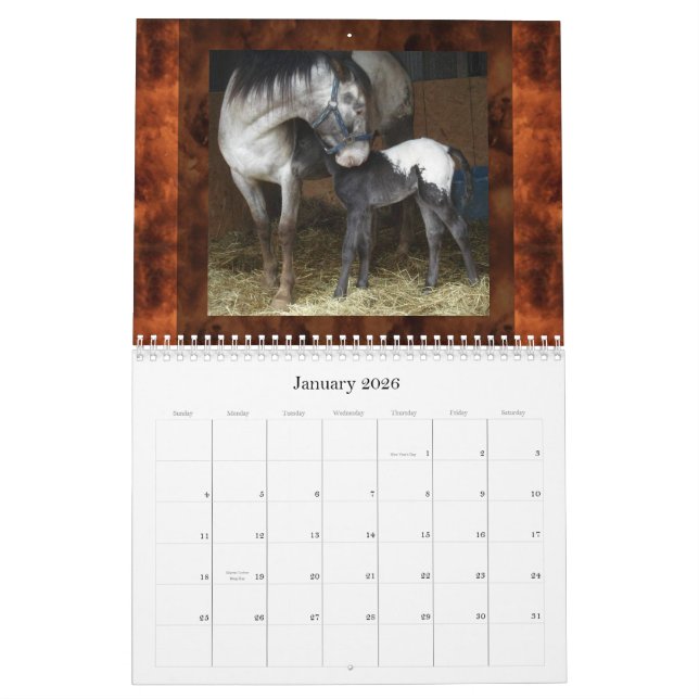 SUNSET HILL APPALOOSAS (REVISED) CALENDAR (Jan 2026)