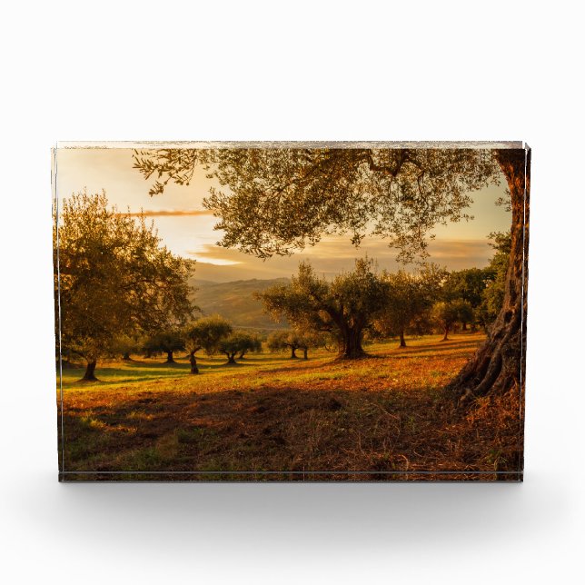 Sunset Hills Autumn Trees Photo Block (Front)